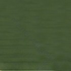 Milesi Hydrocrom XHT14 favédő hatású szines gombamentesítő alapozó pác vastaglazúrhoz - Erdőzöld / 1 liter