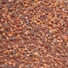 Policolor lábazati vakolat - Somtető / 15 kg